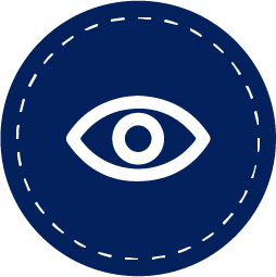 Visión